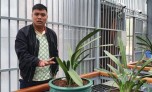 Vụ đại gia lan đột biến bị bắt vì buôn lậu than: Dựng công nhân, lái xe làm giám đốc