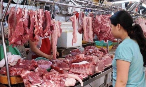 Giá heo hơi hôm nay 7/12: Giảm nhẹ ở một số địa phương, điều chỉnh từ 1.000 – 2.000 đồng/kg