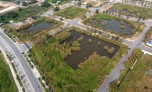 Lô đất Tân Hoàng Minh bỏ cọc sẽ được sẽ đấu giá lại
