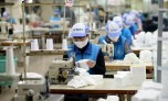 Bức tranh lợi nhuận nhiều khởi sắc, khép lại một năm thành công của doanh nghiệp Việt