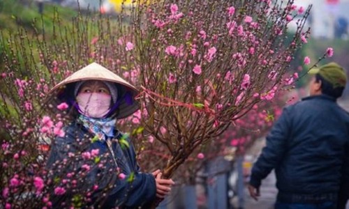 Miền Bắc đón 2 đợt không khí lạnh trước thềm Tết Nguyên đán