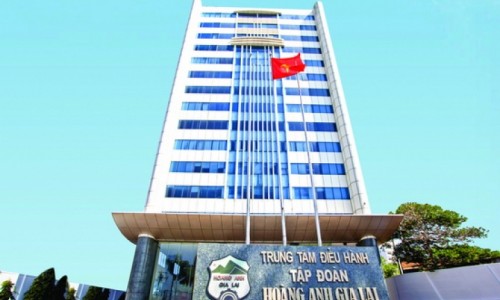Cổ phiếu HAG đối diện nguy cơ hủy niêm yết, HAGL xin được 'thử thách' thêm