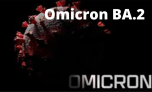 Cảnh báo: Biến thể tàng hình của Omicron có thể vô hiệu nhiều biện pháp chống COVID-19