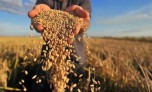 Xung đột Nga-Ukraine: Đe dọa đà phục hồi của nền kinh tế thế giới