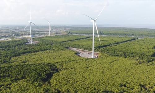 Chi phí lãi vay ngốn hết lợi nhuận tại Fecon?