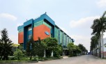 Liên tục phát hành cổ phiếu riêng lẻ, Gỗ Trường Thành hiện làm ăn ra sao?