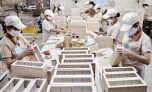 Nhãn hiệu UKCA: Yêu cầu bắt buộc của doanh nghiệp Việt xuất khẩu sang Anh