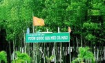 Nguyên Giám đốc Vườn quốc gia Mũi Cà Mau bị bắt vì tham ô hơn 6,5 tỷ đồng