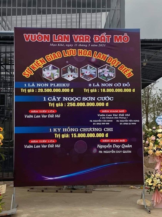 "Thương vụ" giao dịch lan đột biến giá 250 tỷ đồng tại Quảng Ninh: Truy thu thuế như thế nào?