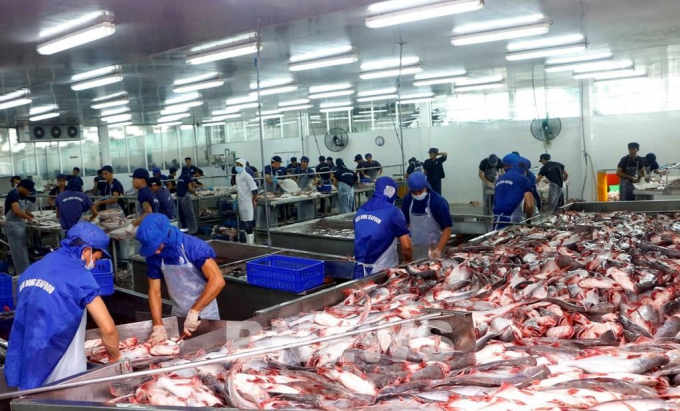 Các hoạt động chế biến thủy sản nào được áp dụng chính sách ưu đãi thuế?