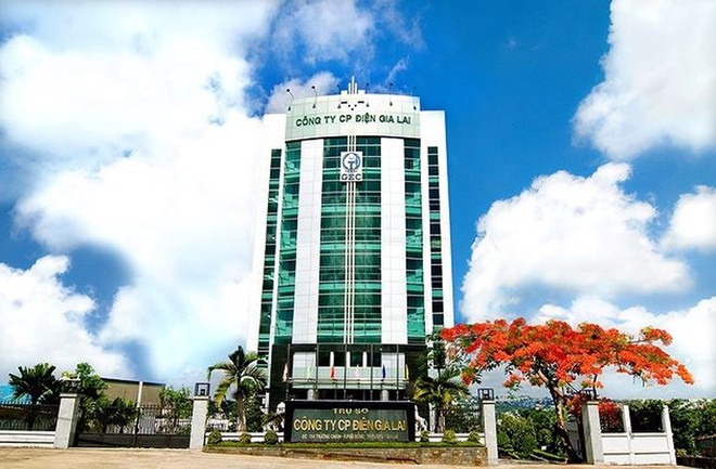 Điện Gia Lai bị phạt và truy thu hơn 200 triệu tiền thuế
