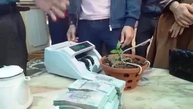 Mua bán lan đột biến với giá 1,65 tỷ đồng: Cơ quan thuế Nghệ An vào cuộc