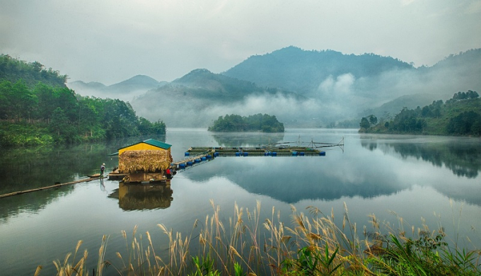 Phú Thọ: Giám đốc cùng nhiều cán bộ bị kỷ luật sau vụ phá rừng Vườn quốc gia Xuân Sơn