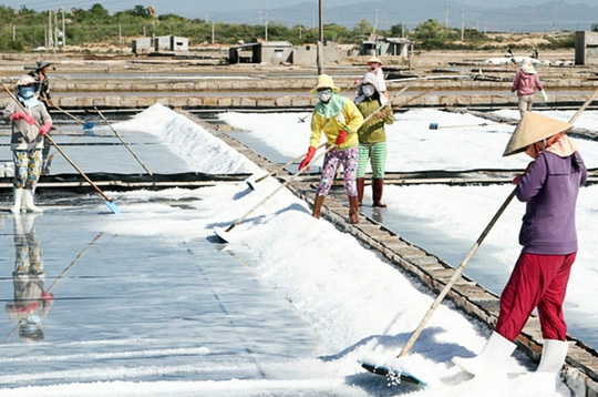 Nghệ An: HTX tự ý rút hơn nửa tỷ tiền hỗ trợ diêm dân để chi tiêu