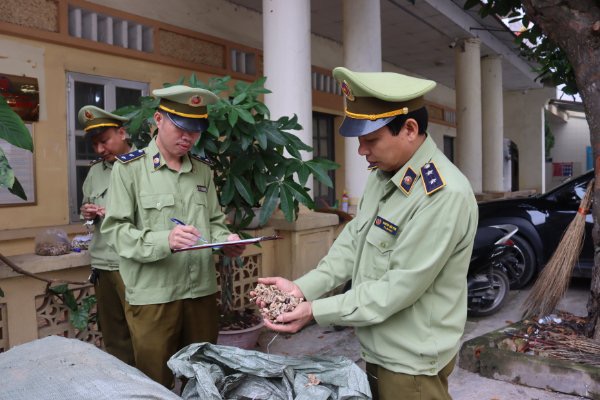Lạng Sơn: Thu giữ gần 1 tấn nguyên liệu thuốc Bắc nhập lậu
