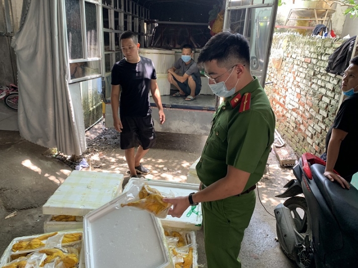 Bắc Từ Liêm, Hà Nội: Thu giữ số lượng lớn gà ủ muối tiêu không rõ nguồn gốc