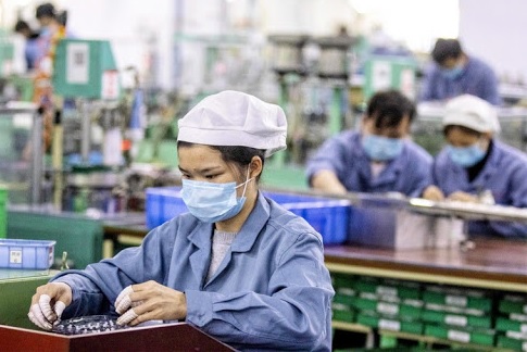 Nhiều doanh nghiệp bị cấm đưa lao động sang Nhật