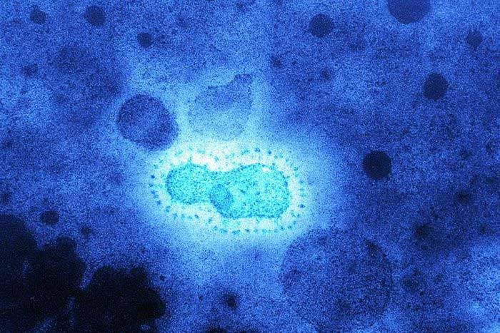 20.000 năm trước virus corona đã tấn công Đông Á và để lại nhiều dấu ấn trong gen người