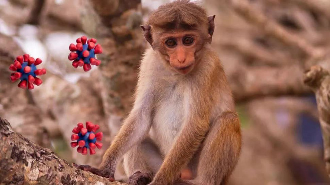 Trung Quốc phát hiện 1 virus mới lây từ động vật sang người và gây tử vong