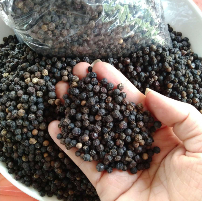 Thị trường hồ tiêu chờ đà tăng giá