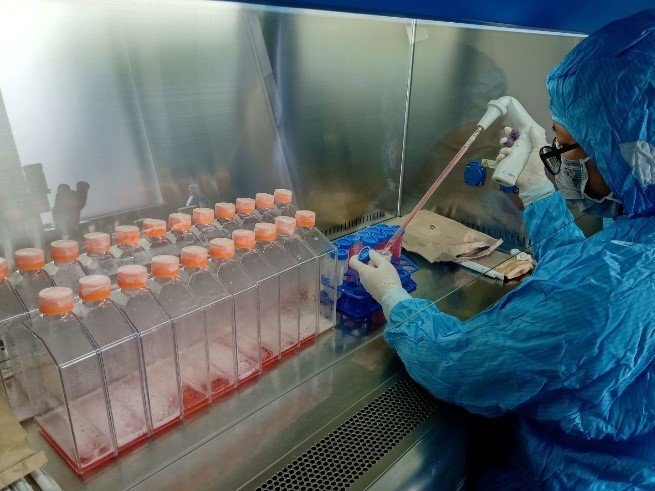 Việt Nam phát triển thành công vaccine ngăn ngừa 4 loại bệnh dịch trên gia cầm
