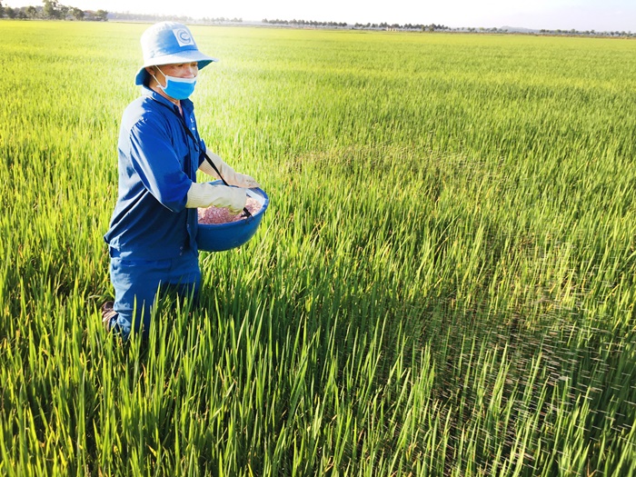 Phân bón liên tục tăng giá, khó hạ nhiệt vào đầu năm 2022