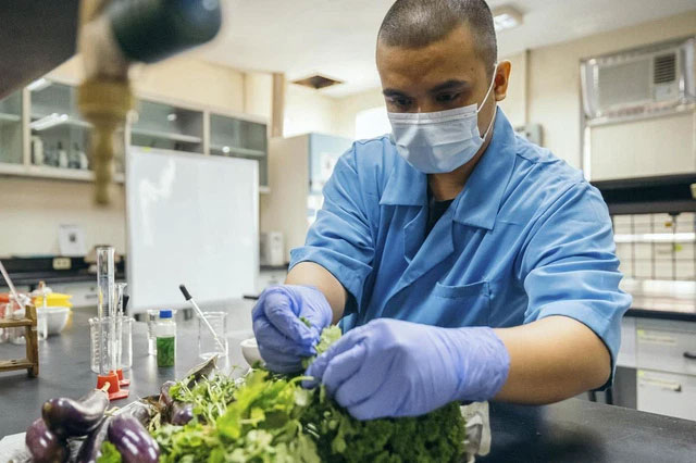 Anh phát triển thành công công nghệ biến rau củ hỏng thành điện năng
