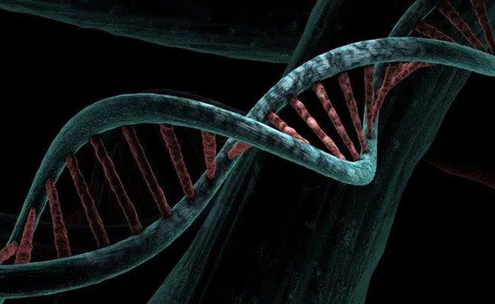 Thụy Điển thành công xác định biến thể gene có khả năng chống lại COVID-19