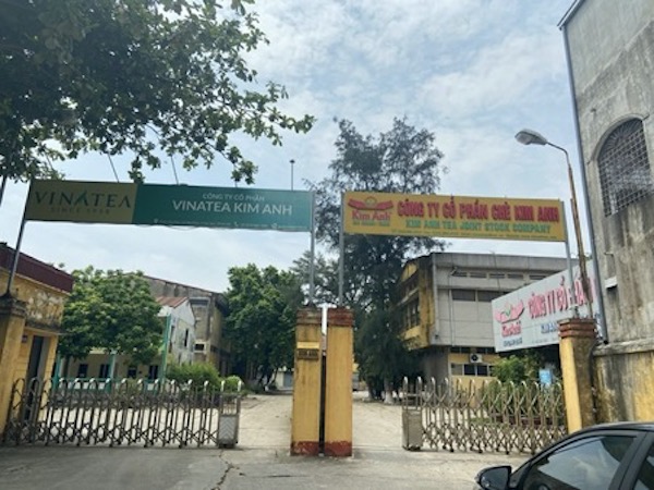 Tổng công ty Chè Việt Nam bị tố vi phạm quyền sở hữu trí tuệ chè Kim Anh