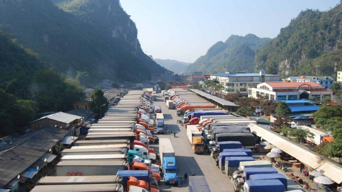 Lạng Sơn tạm dừng tiếp nhận phương tiện chở hoa quả tươi xuất khẩu từ 16/2