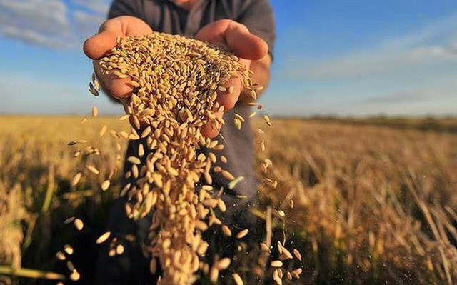 Xung đột Nga-Ukraine: Đe dọa đà phục hồi của nền kinh tế thế giới