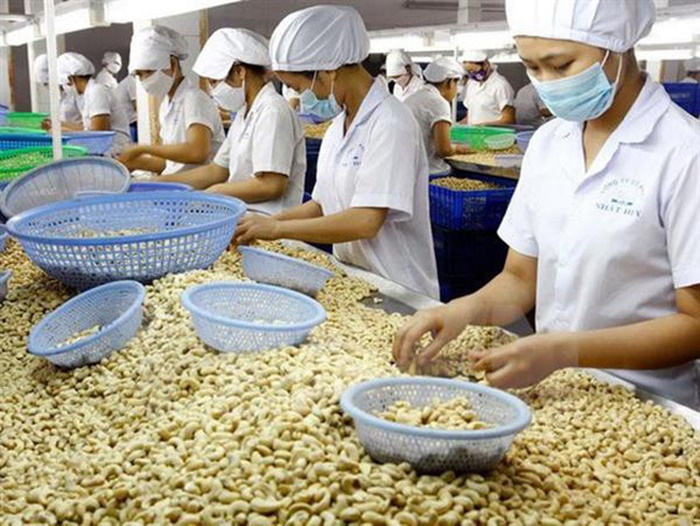 Xung đột Nga-Ukraine: Lo ngại tác động xấu đến xuất khẩu hạt điều của Việt Nam