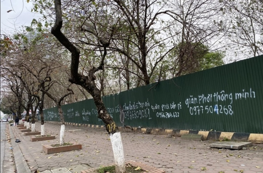 Hơn 5.000m2 "đất vàng"của Vietcombank bỏ hoang 13 năm không bị thu hồi