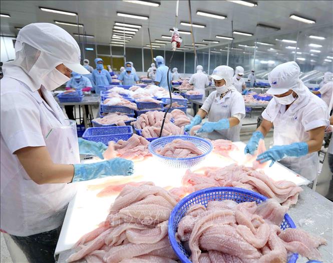 Thêm một doanh nghiệp cá tra không bị áp thuế bán phá giá sang Mỹ