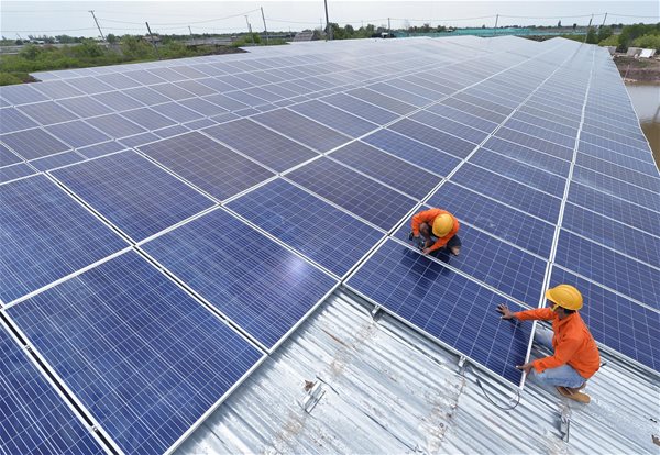 Sau mật ong, Mỹ lại khởi xướng điều tra tấm pin năng lượng mặt trời nhập từ Việt Nam