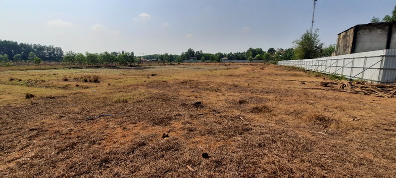Công ty Thời Đại Land bị khách hàng tố lừa đảo