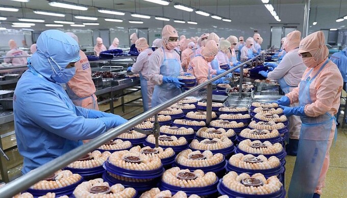 Hoa Kỳ tiếp tục áp thuế chống bán phá giá với tôm nước ấm từ Việt Nam