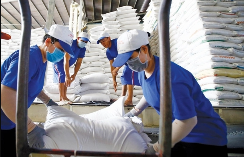 Giá lúa gạo tiếp tục tăng