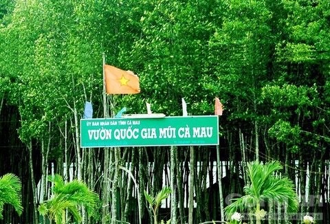 Nguyên Giám đốc Vườn quốc gia Mũi Cà Mau bị bắt vì tham ô hơn 6,5 tỷ đồng