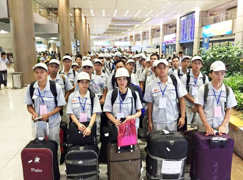 4 công ty đưa lao động sang Hàn Quốc bị xử phạt, đình chỉ hoạt động
