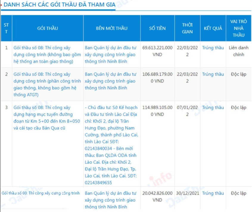 Bức tranh tài chính của Cường Thịnh Thi Group ra sao khi thực hiện loạt dự án "khủng"?