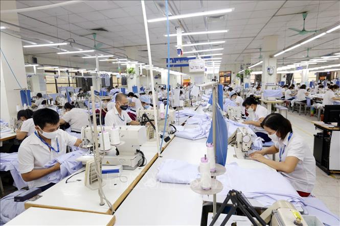 Vinatex lần đầu báo lỗ sau cổ phần hóa